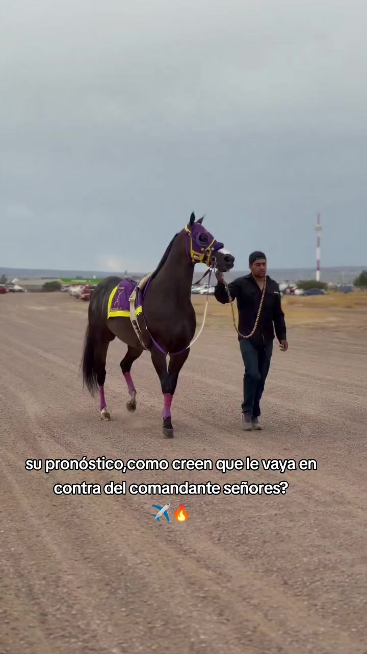 @carriles altos de jalisco🐎