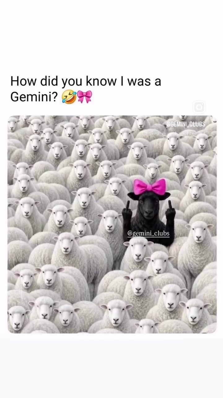 @Gemini Club♊️