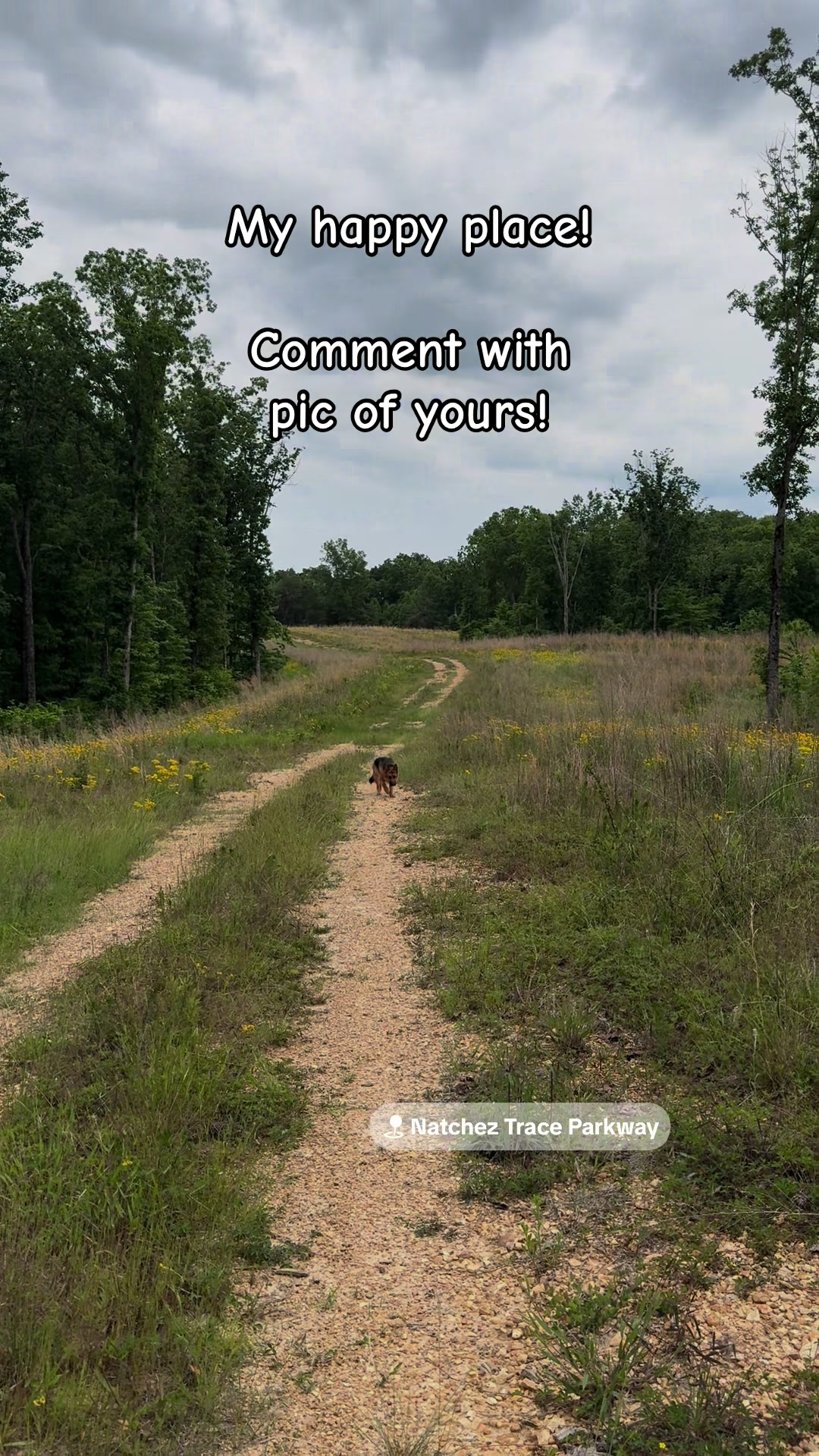 @Whiskeys Trails