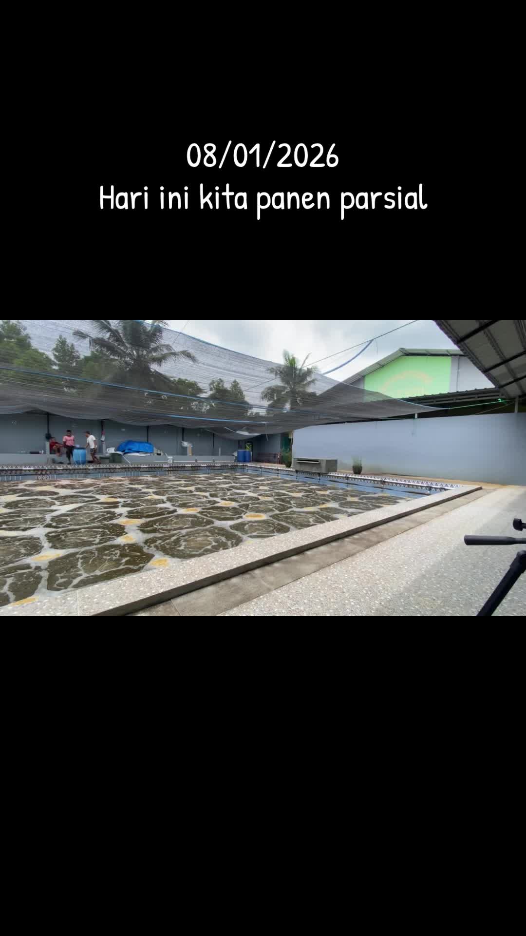 @Pratama Farm