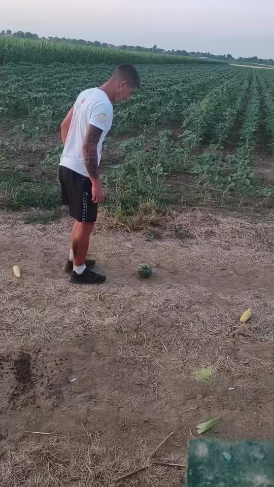 @🦁