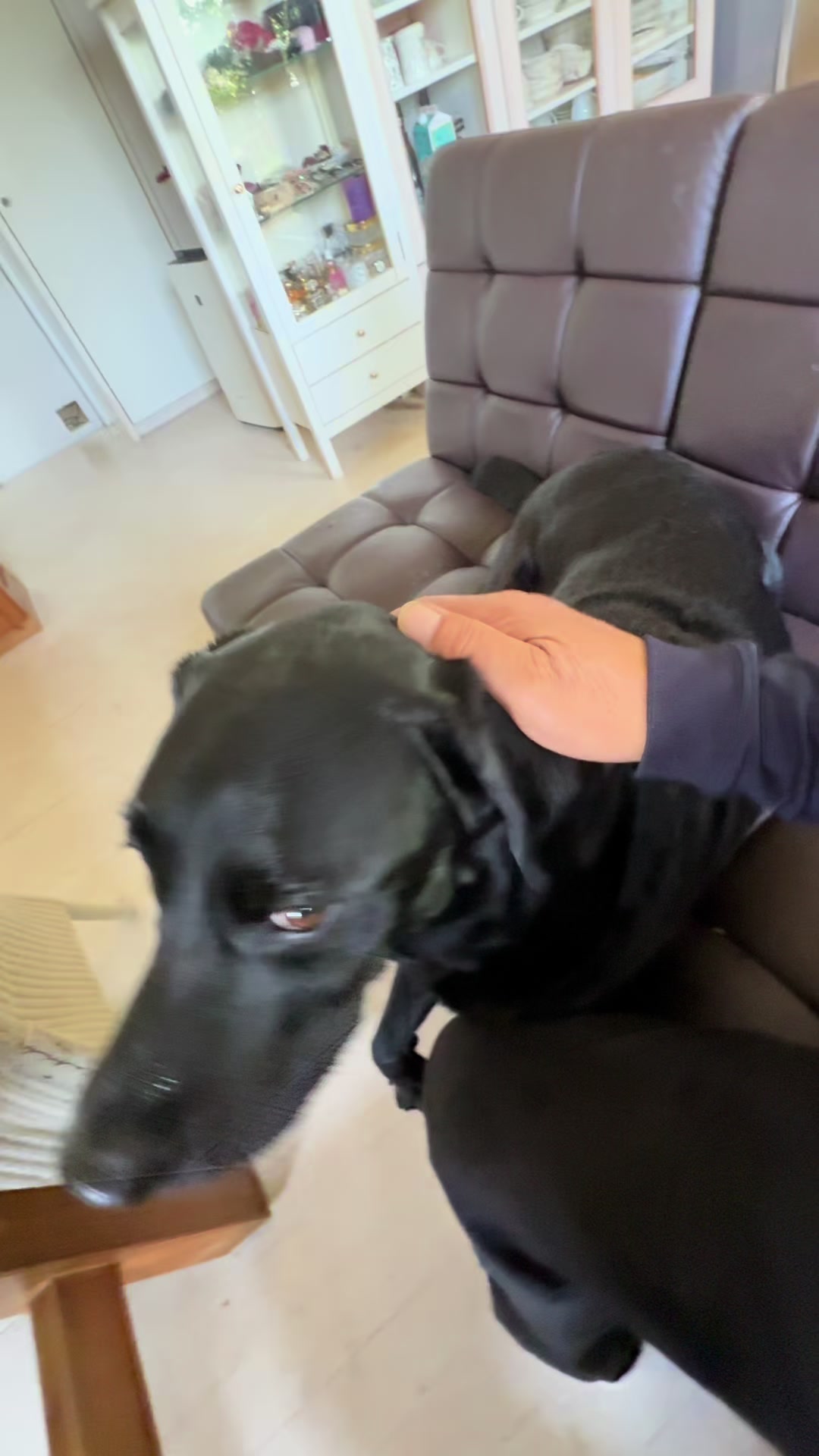 @バムパパ