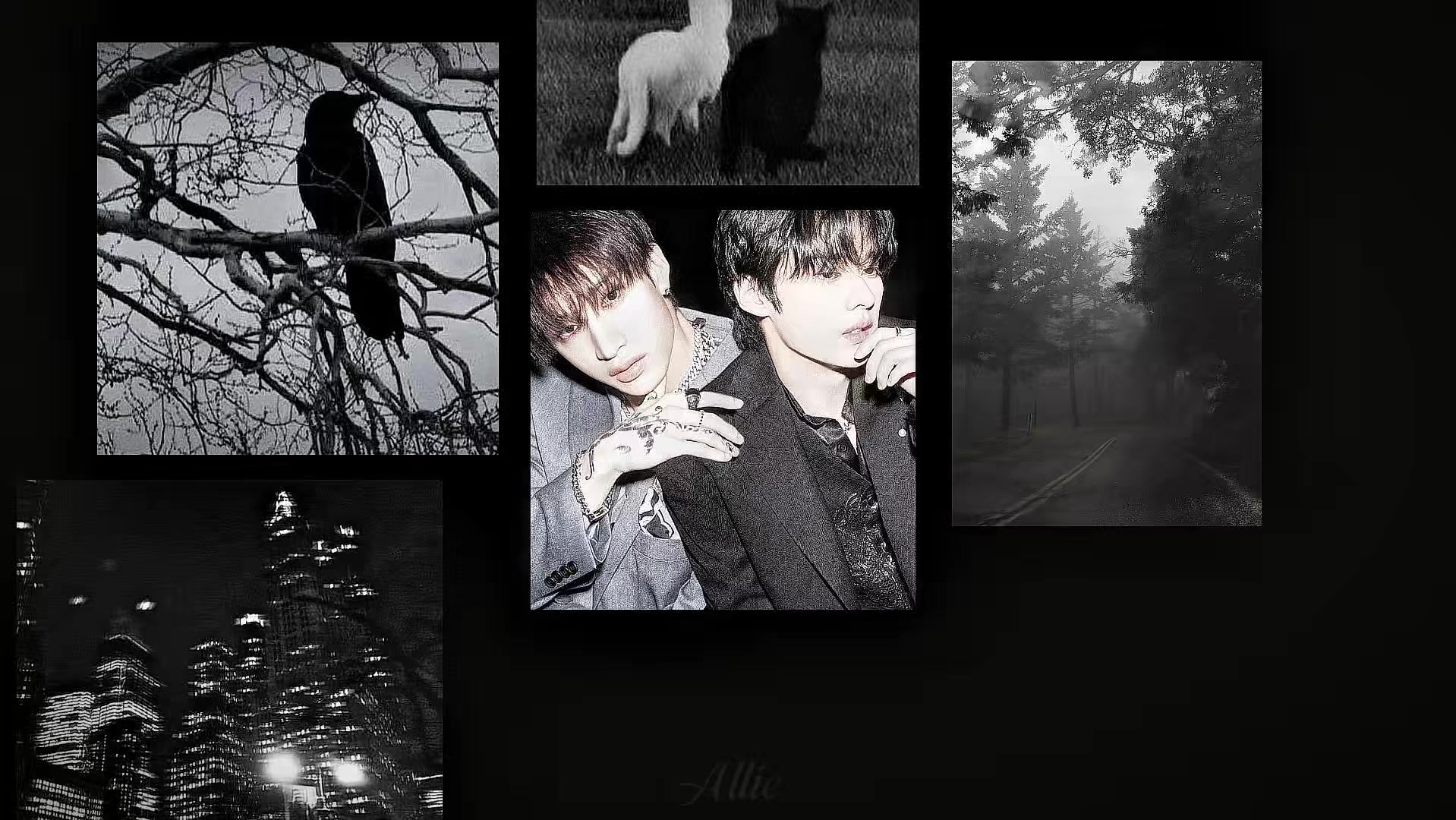 @°❀.ೃ࿔* Allie°❀.ೃ࿔*