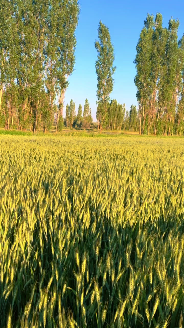 @Emrecanerdogan058