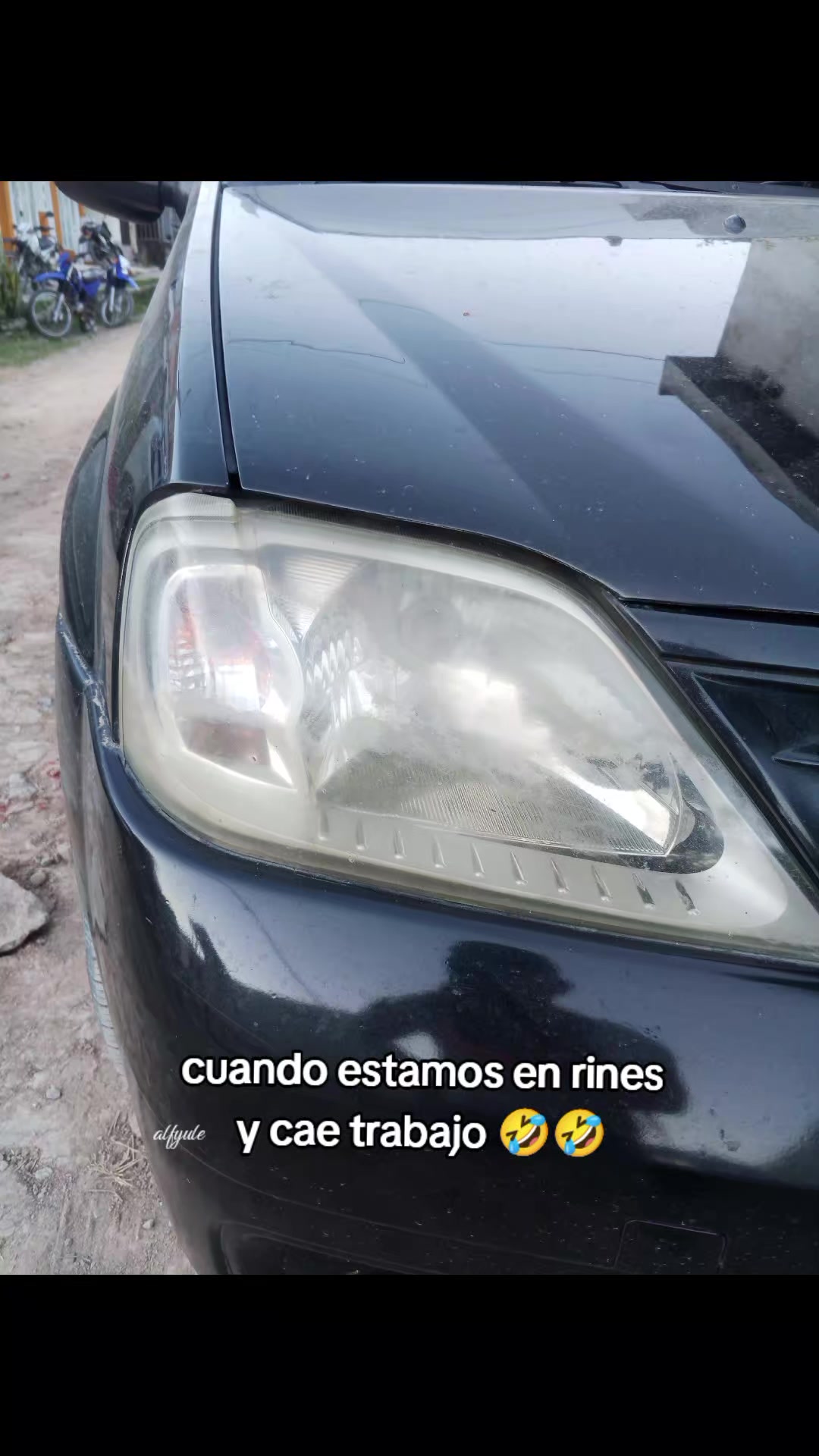 @ALFYULE