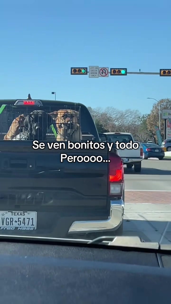 @Valey🐺