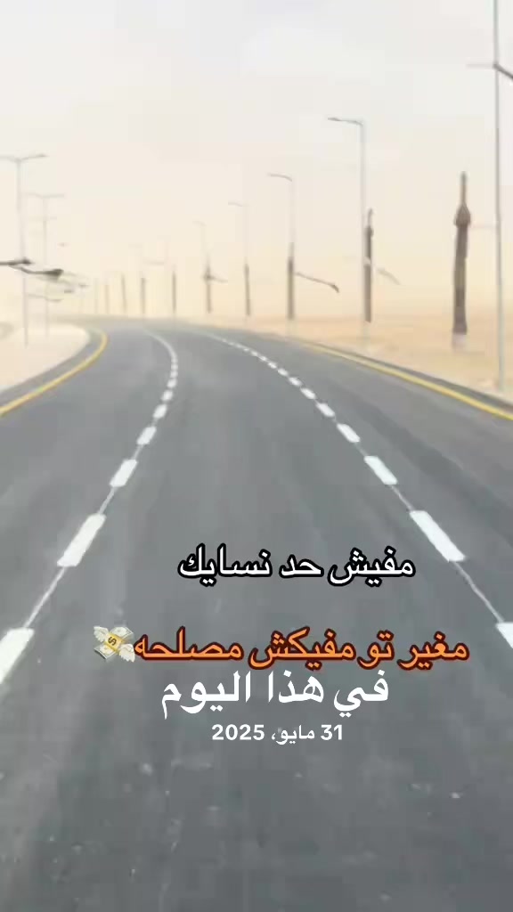 @سعيد امحيور