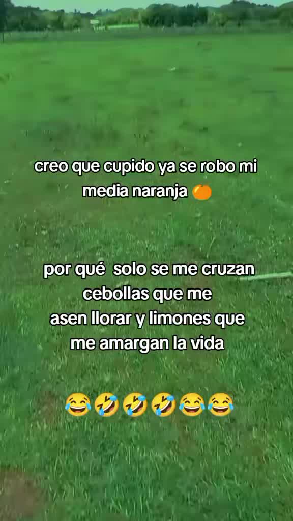 @Sebastián 74