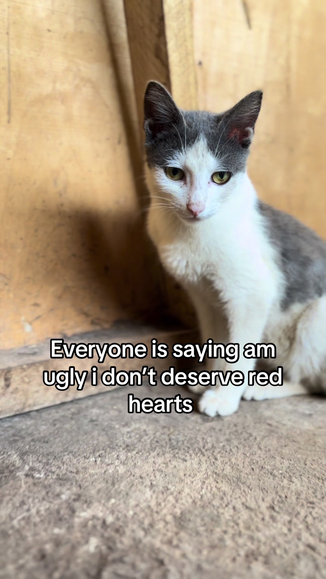@D strays