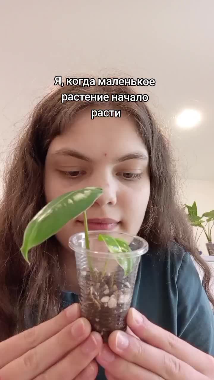 @mosungrass