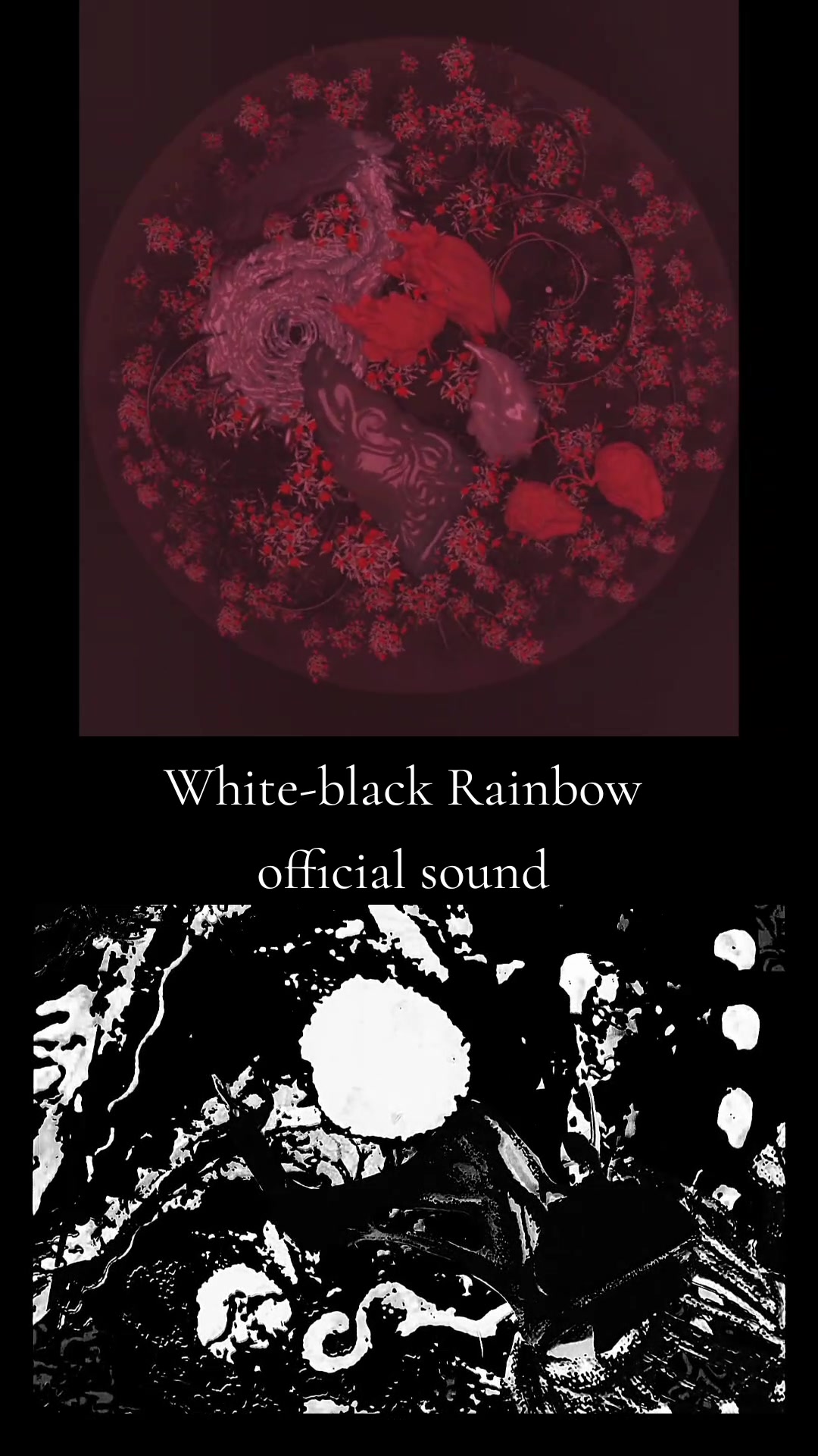 @White-black Rainbow