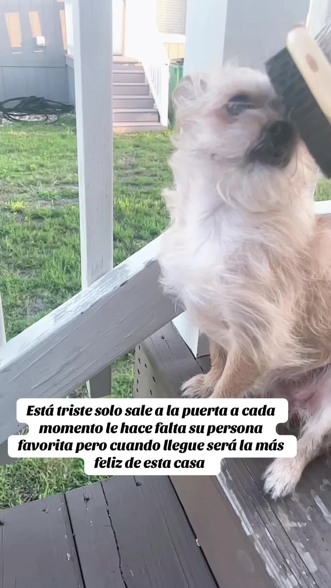@Dany Guillén