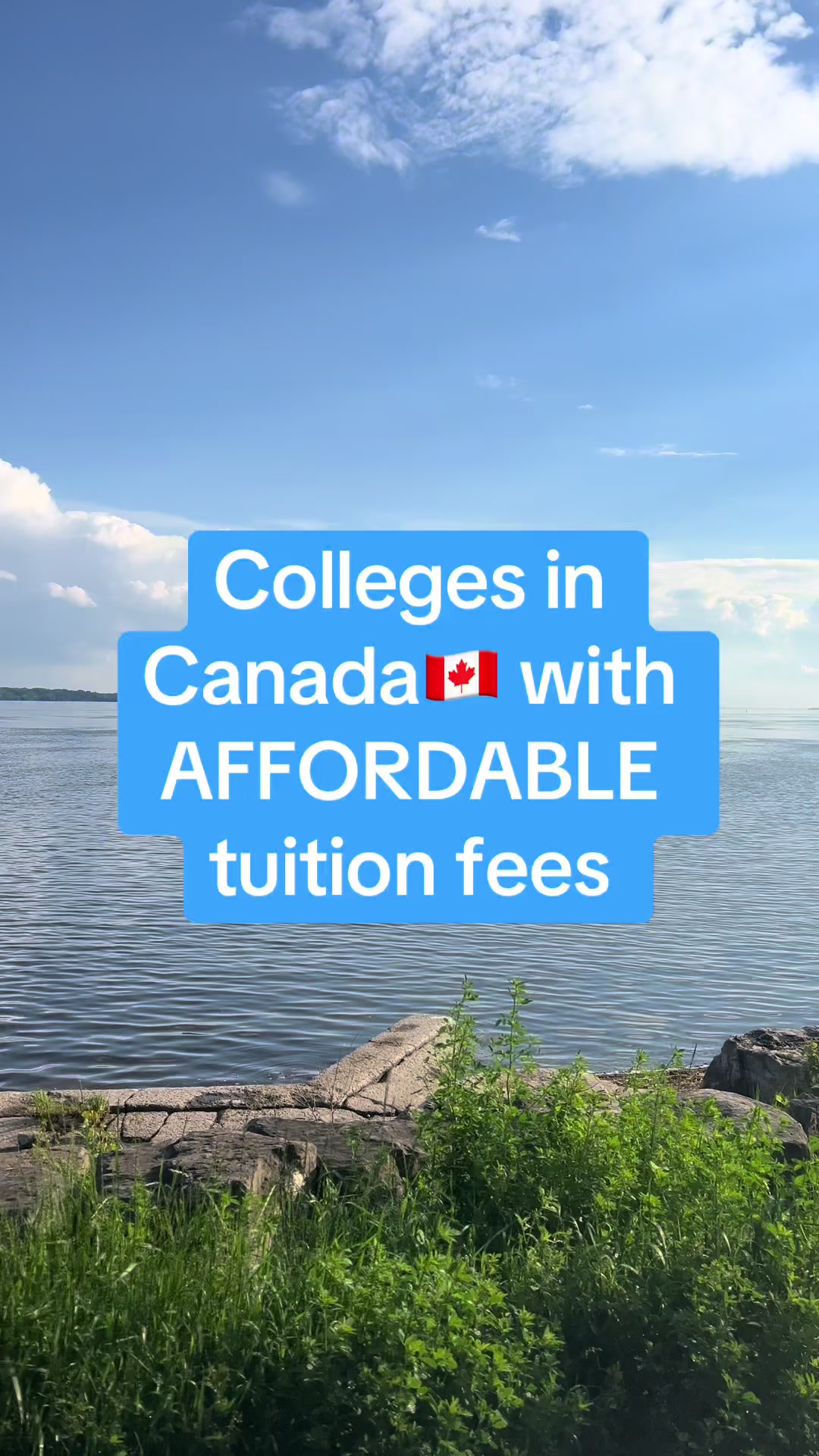 @Your Surest Study Abroad Plug