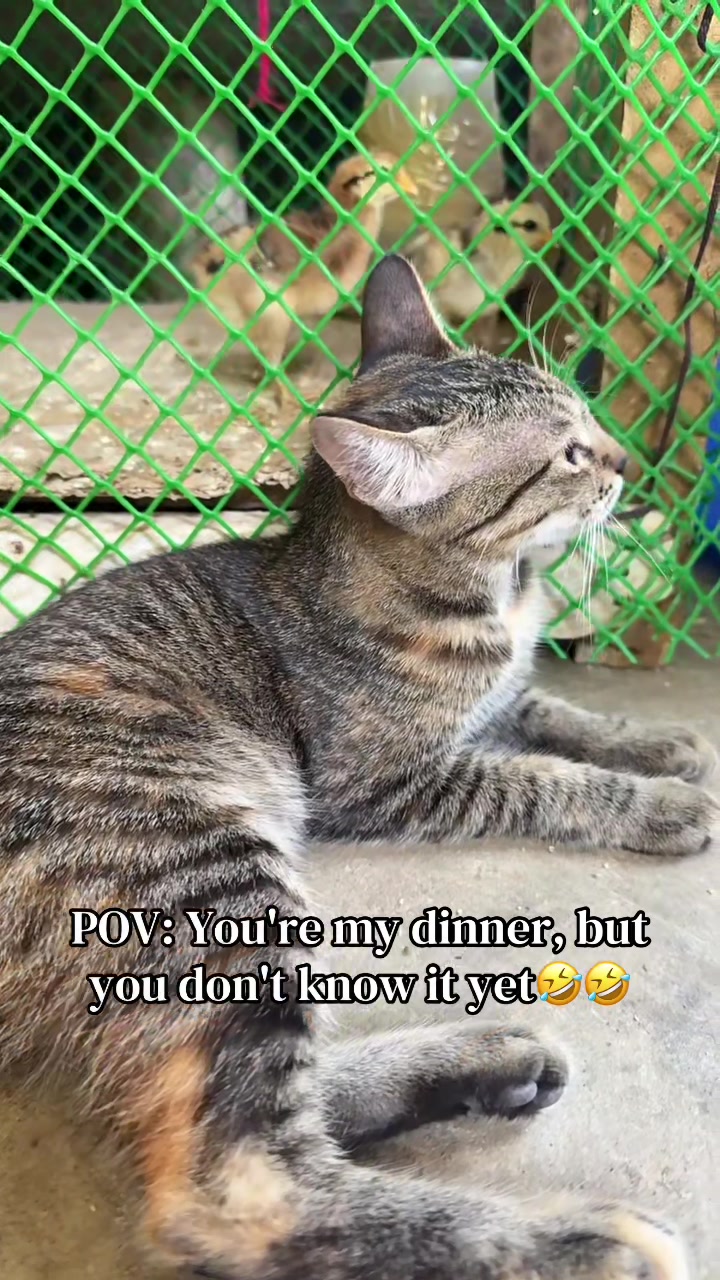 @️ྀིྀི ྀིྀི :)