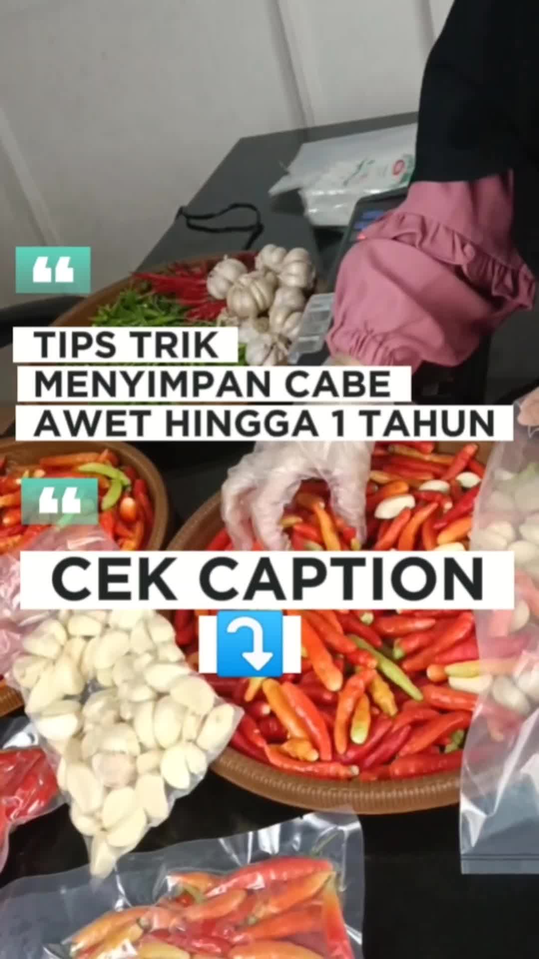 @yani
