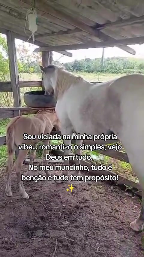@Elinaria Jucielma