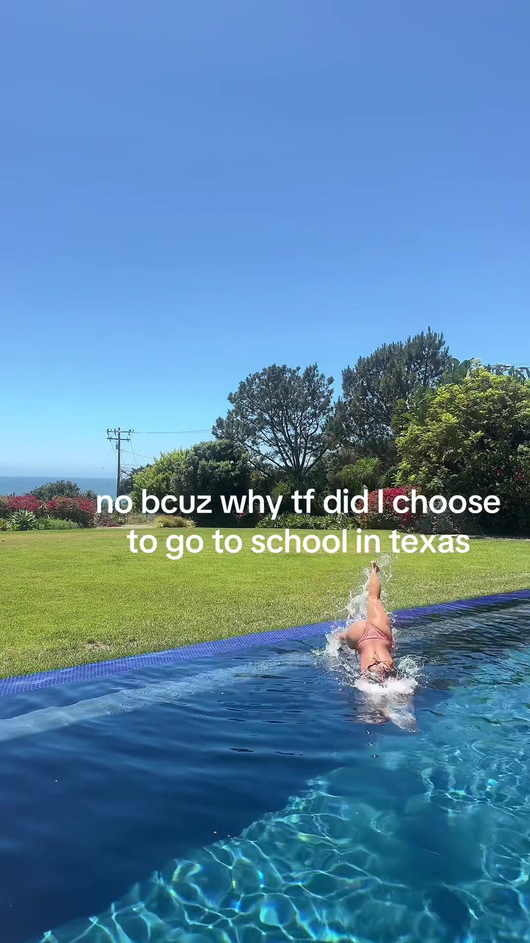 @mimi
