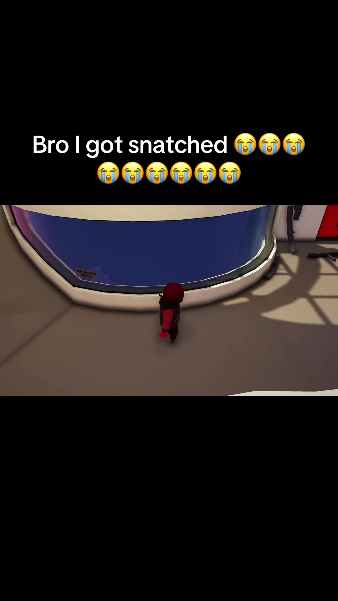 @Bdog#3709