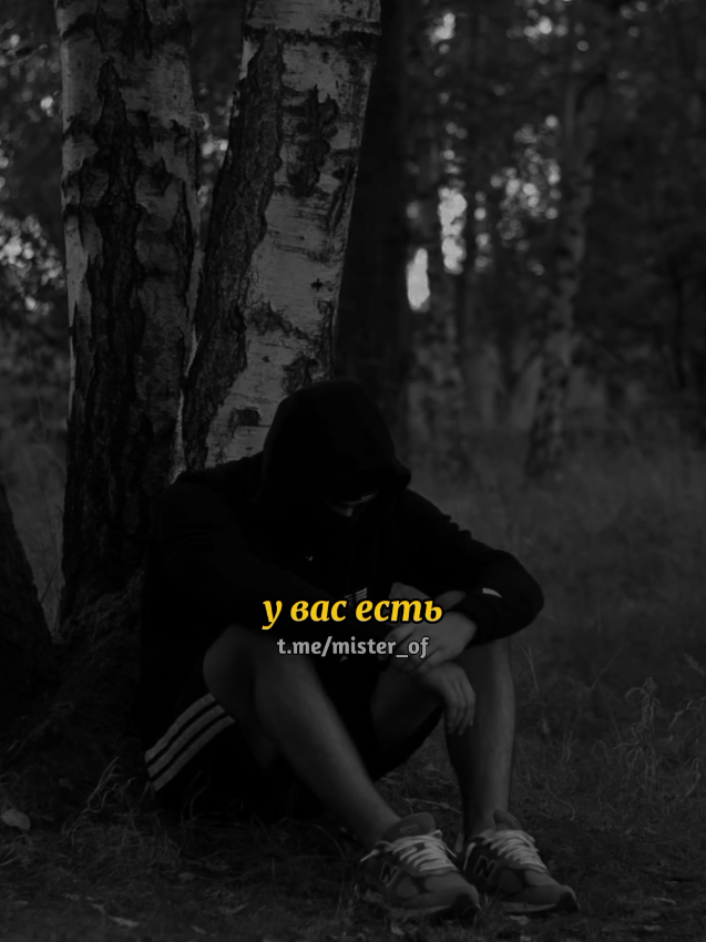 @тгк: Mister
