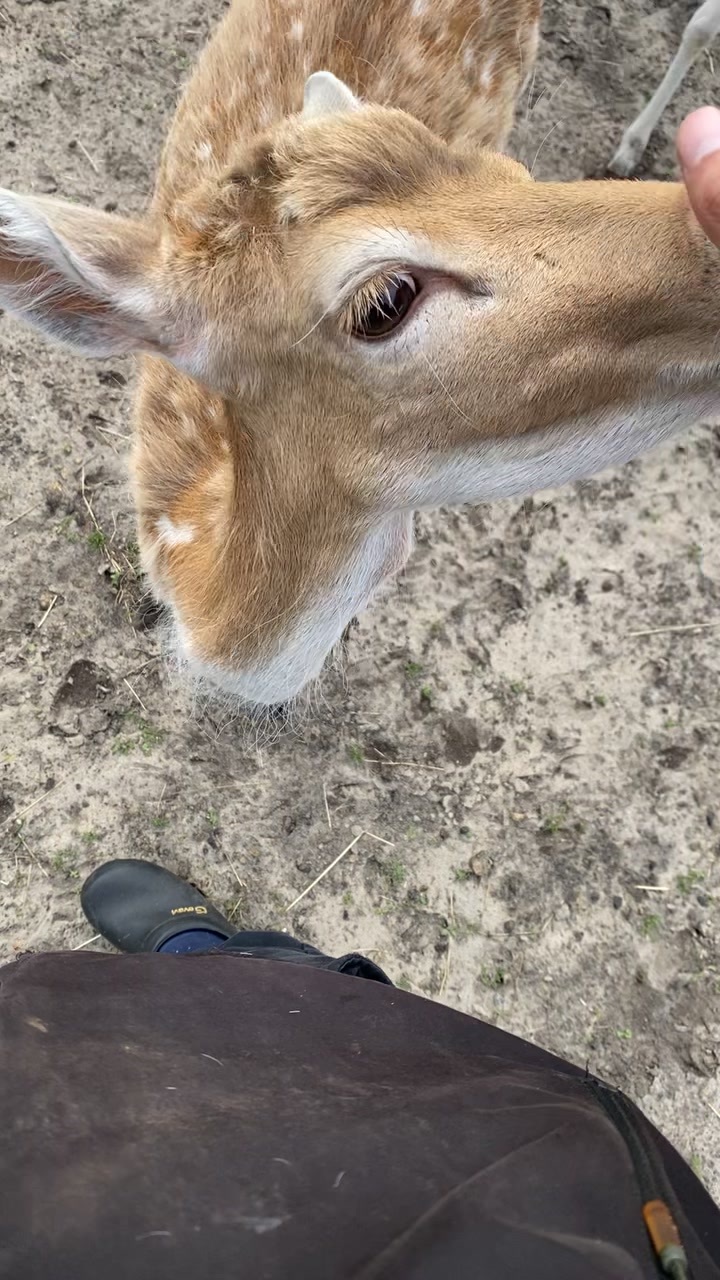 @Boo__Farm