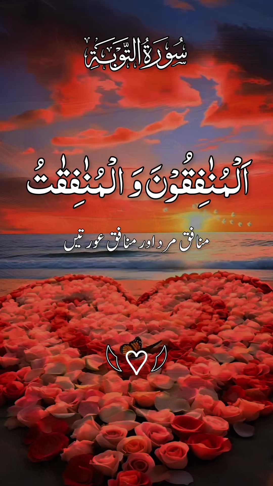 @❣️ Words of Allah ❣️