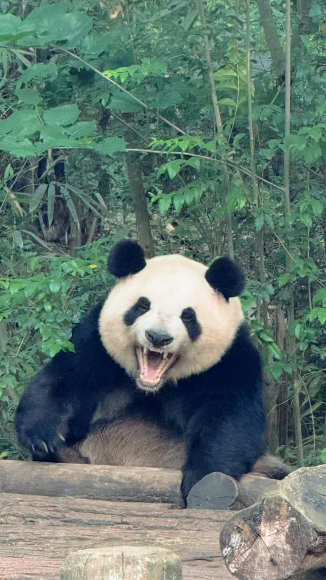 @用户849144958843 Maggie quan