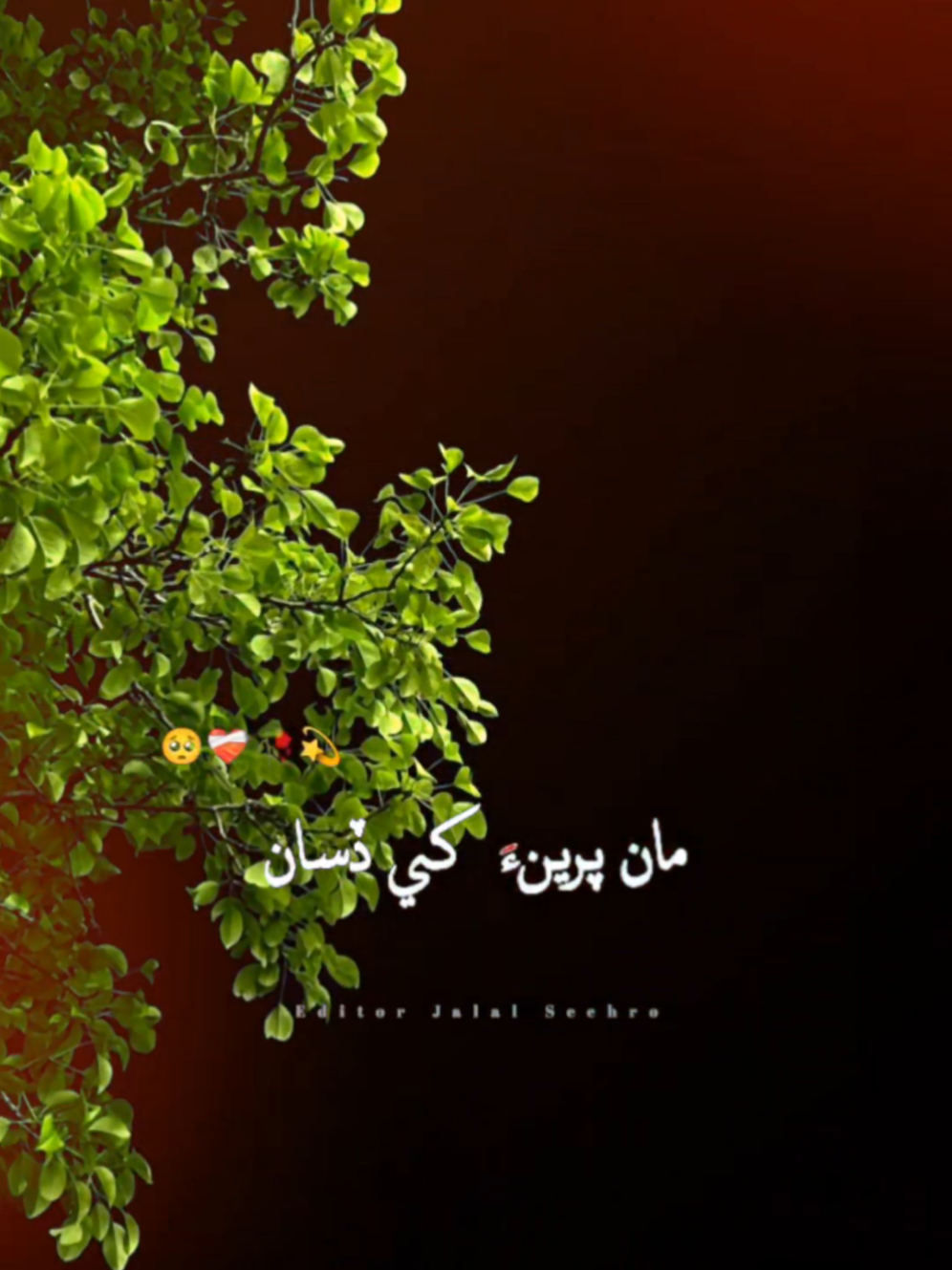@Sindhi Lover
