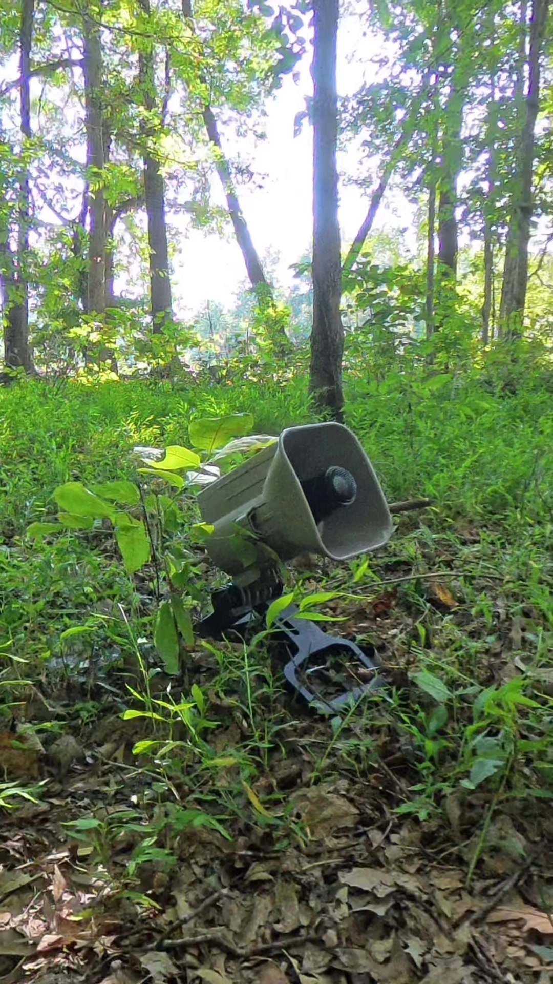 @FOXPRO Game Calls