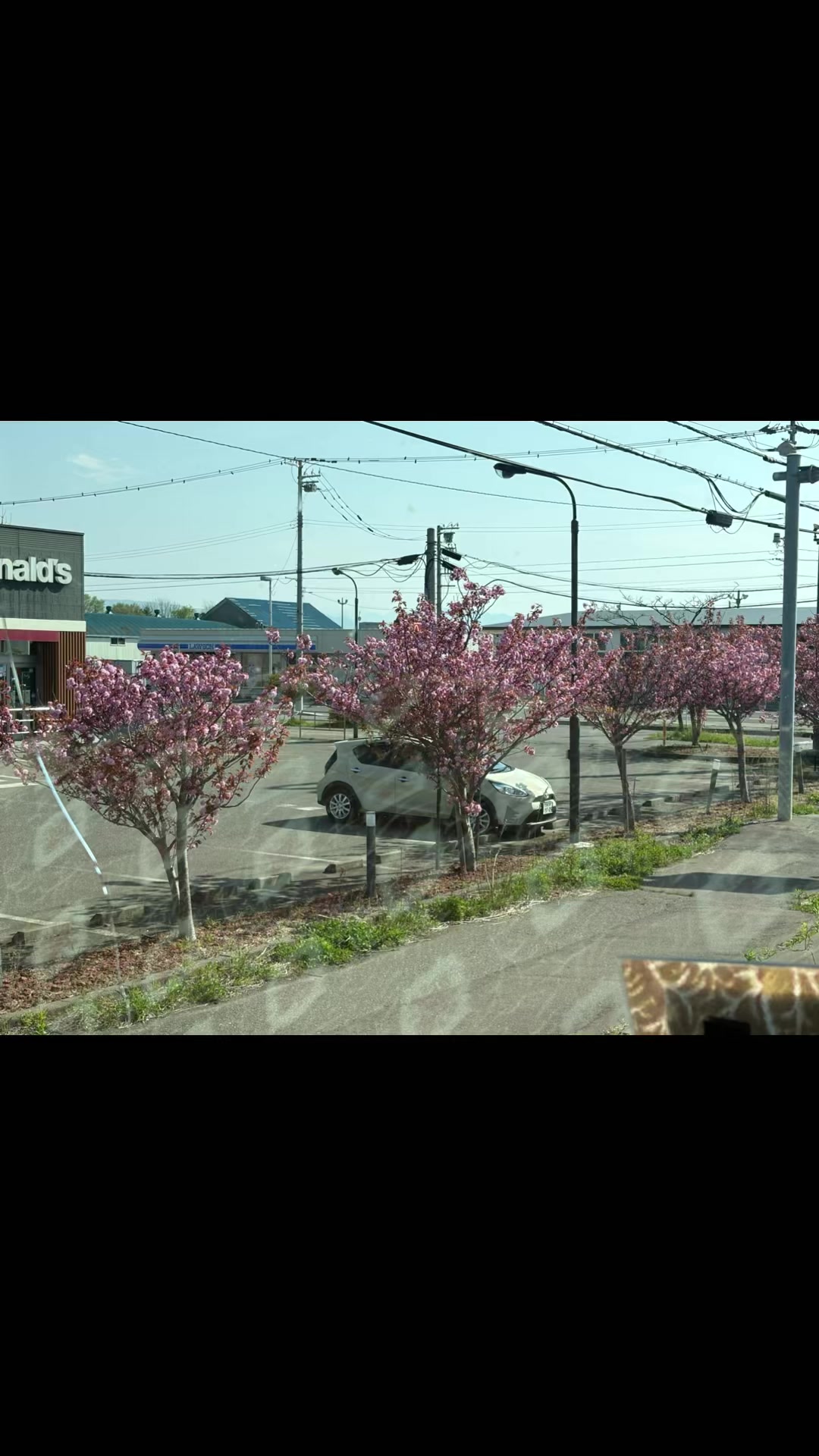 @桜丸