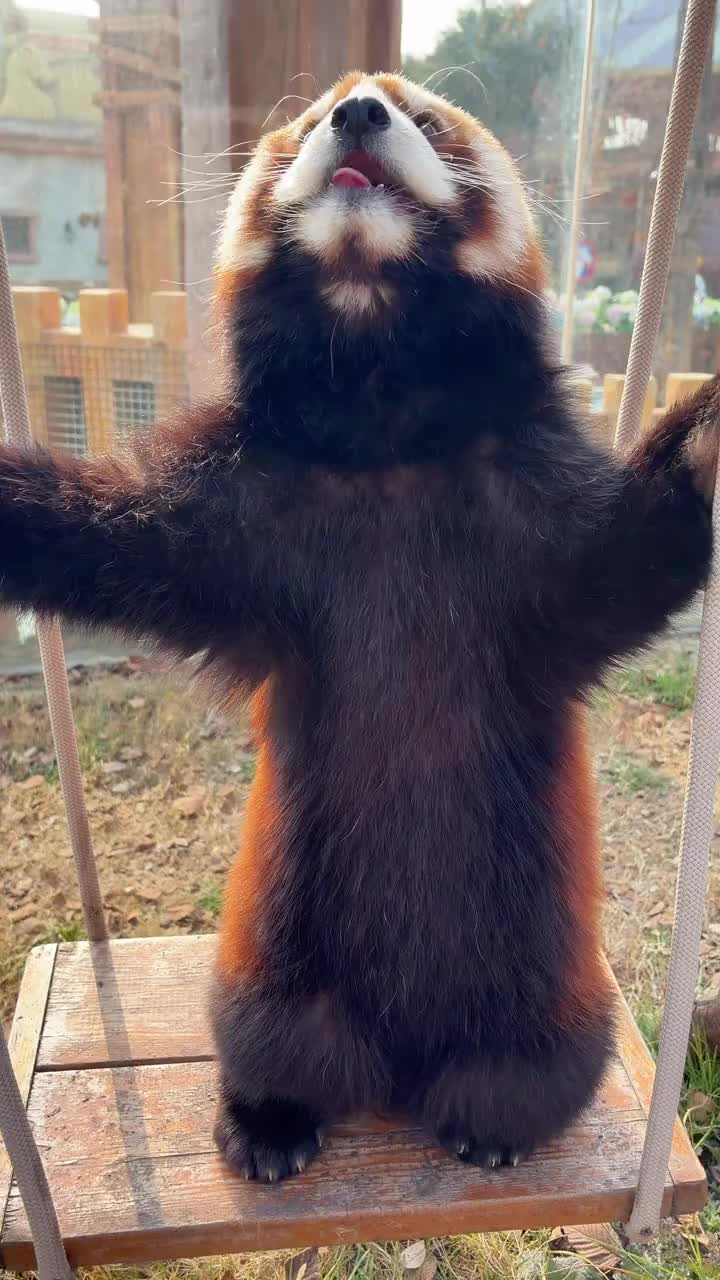 @littlepanda6487