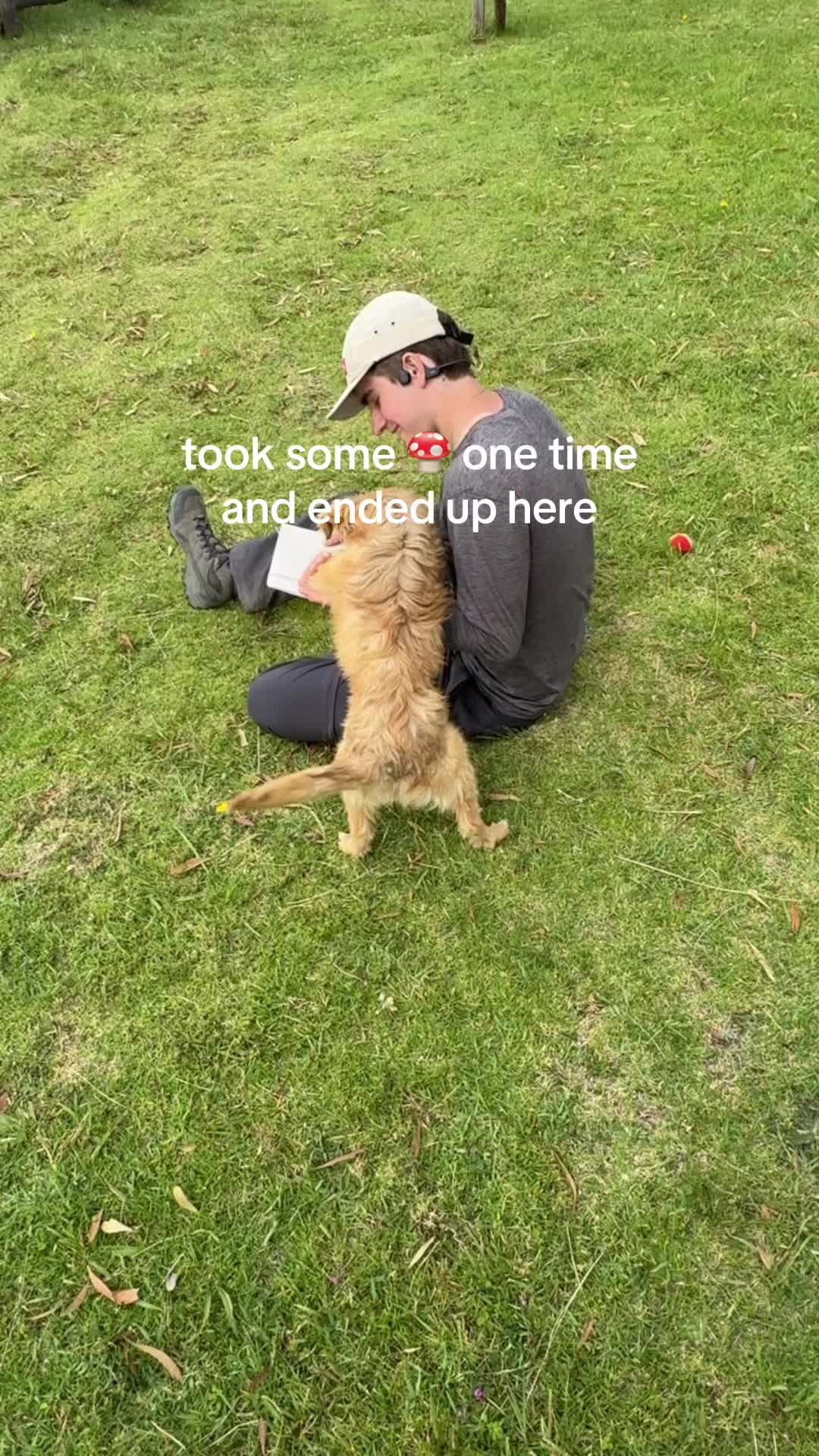 @noahweenie