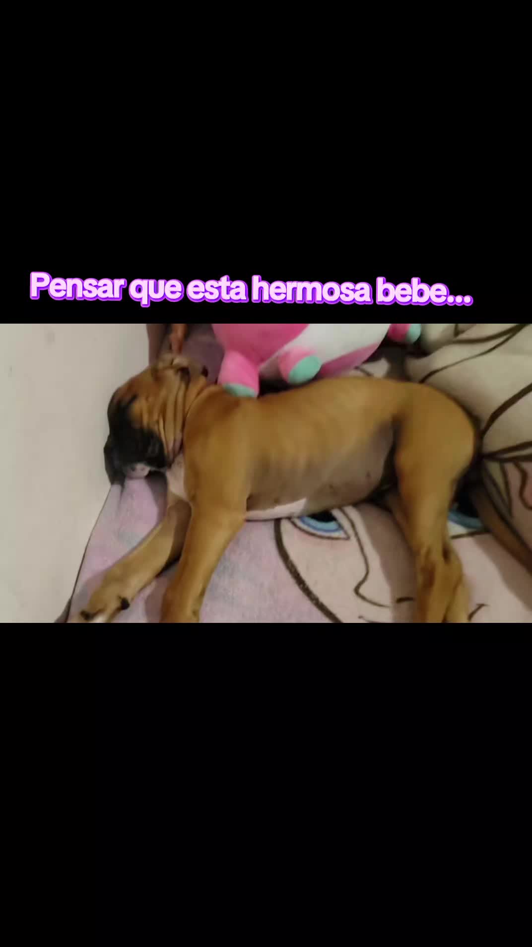 @Floppii Flopp