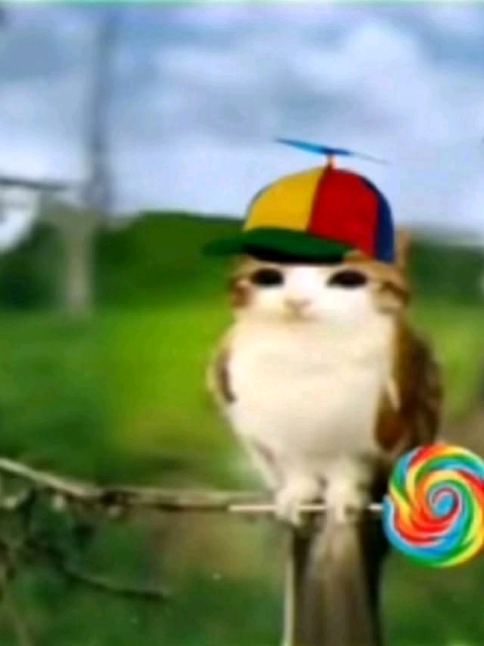 @⋆𝓥𝓮𝓻𝓲𝓽𝓸 ⋆