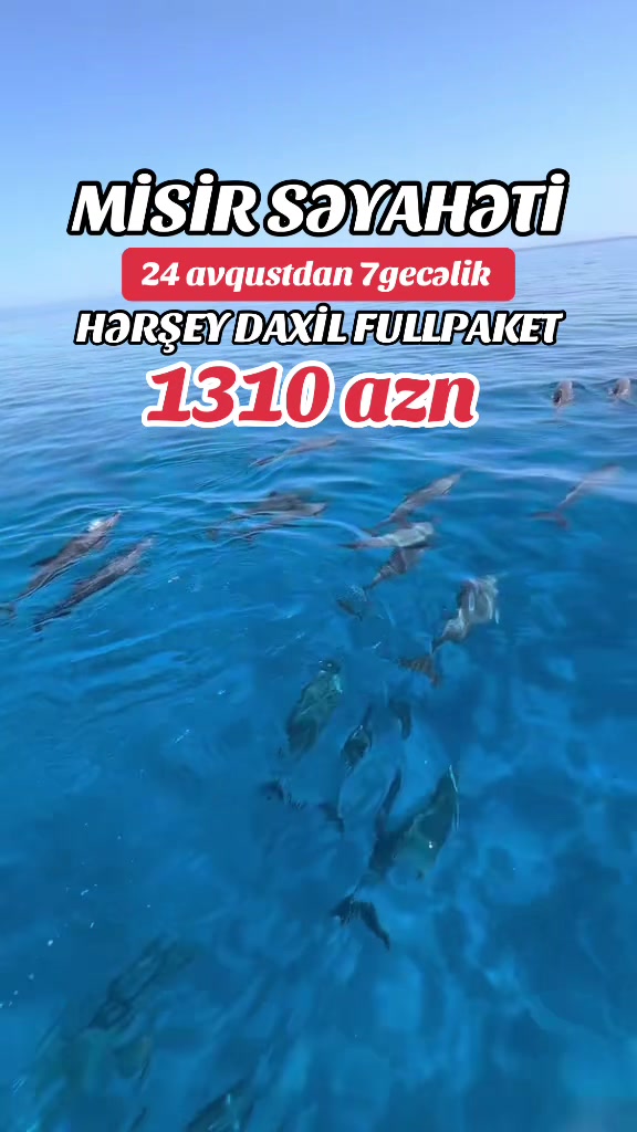 @AY-TUR TRAVEL LLC