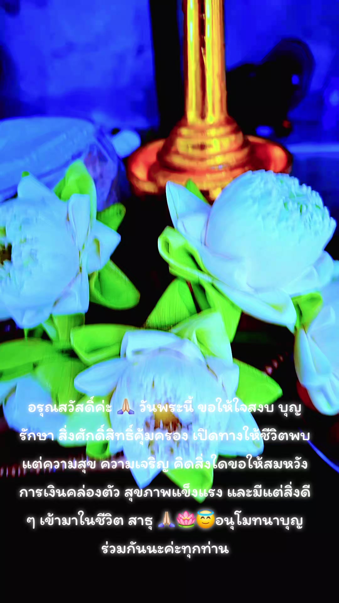 @บุญรักษา 6996