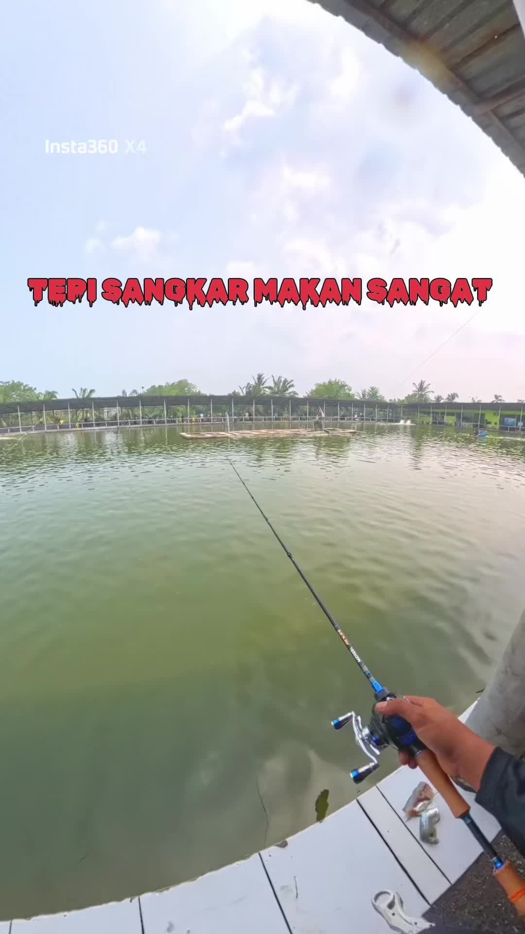 @M Z Reel 🎣