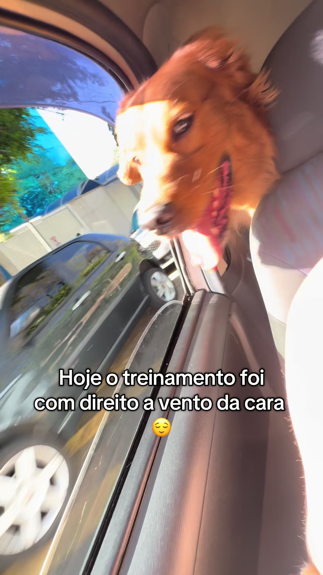 @Roberta Barbosa