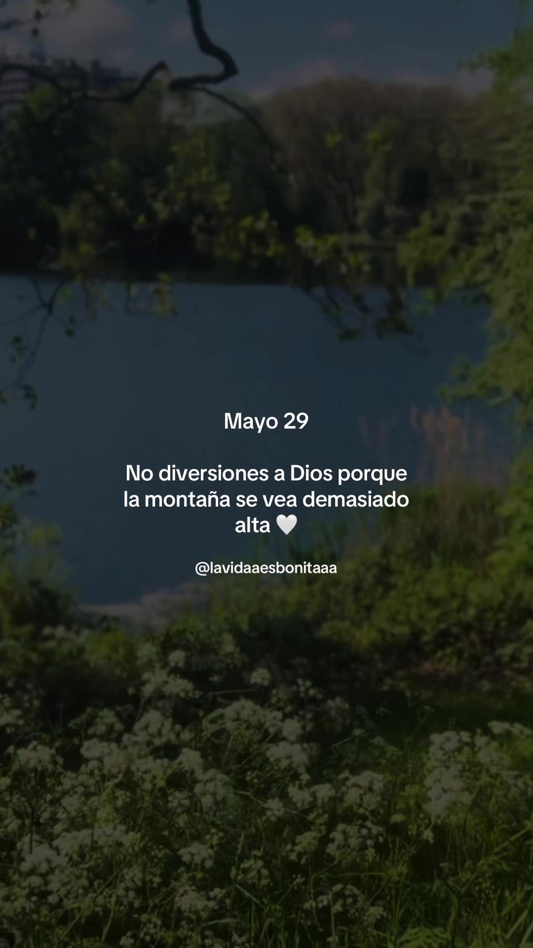 @vidabonita❤️&zwj;🩹