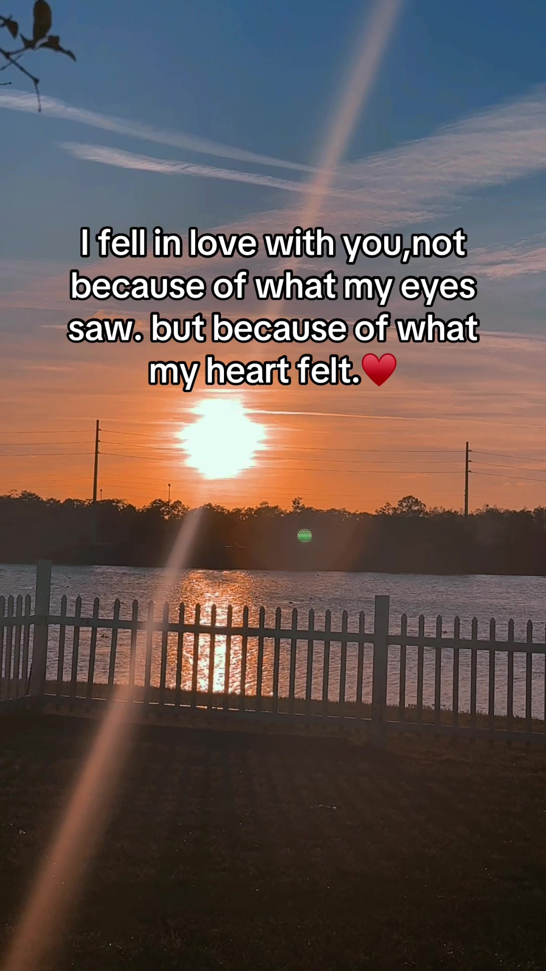 @Manesha