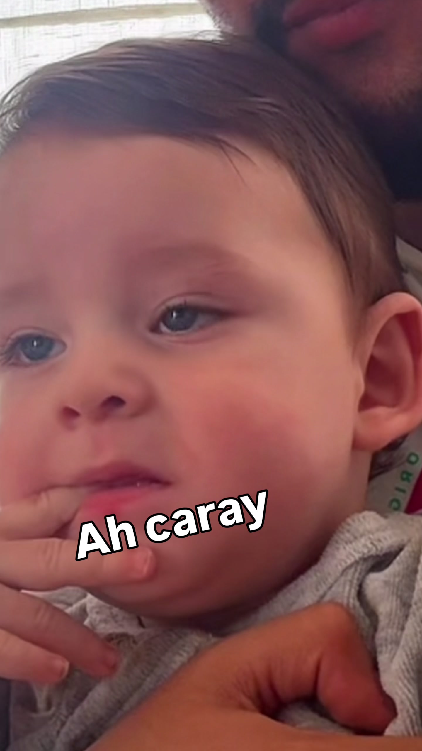 @Perdido en Tiktok