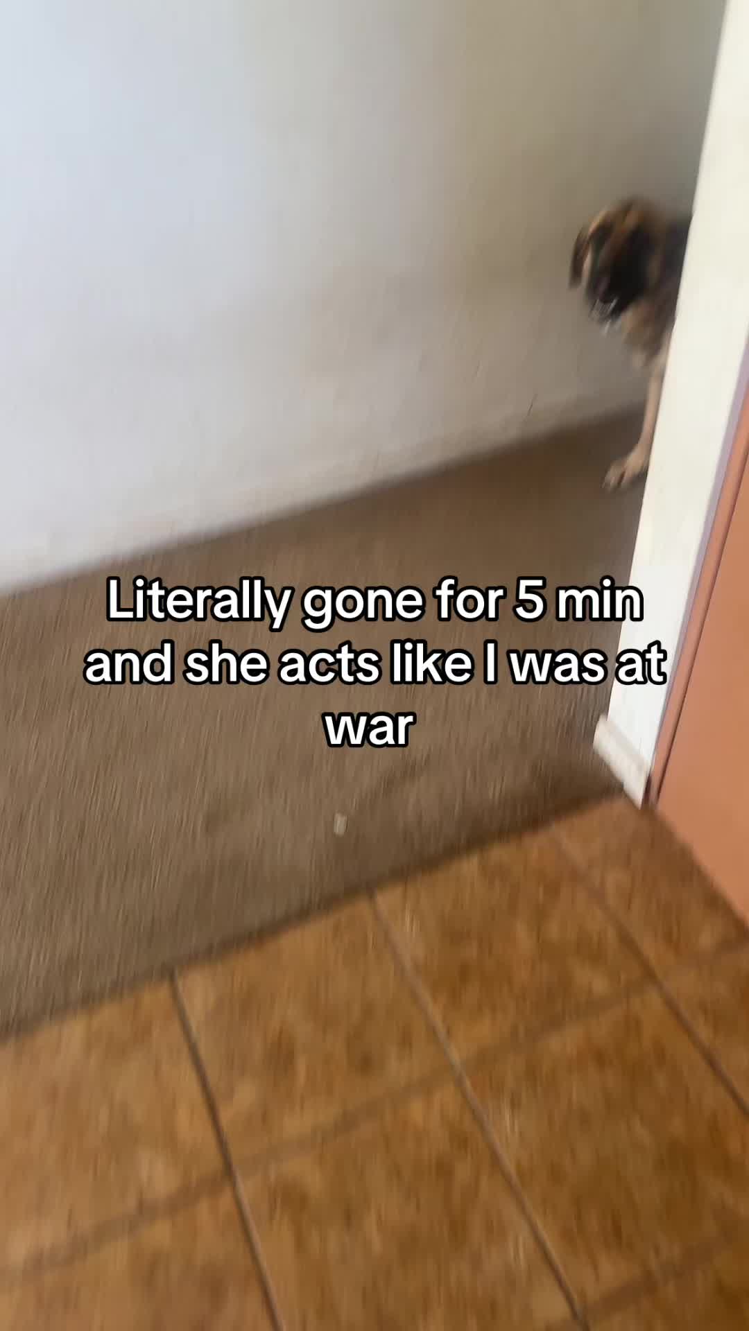 @Lavenderhazzeyy