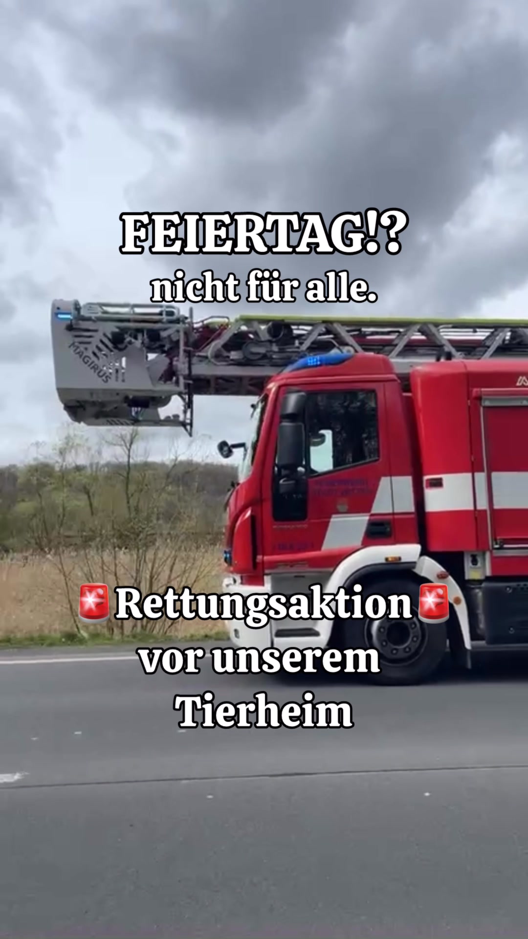 @Tierheim Witten e.V.