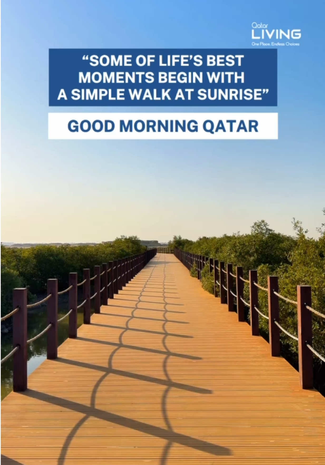 @Qatar Living