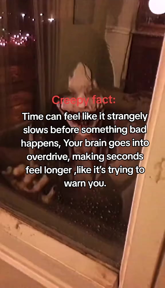 @𝐒𝐭𝐚𝐜𝐲✰⋆. 𐙚 ˚🦋