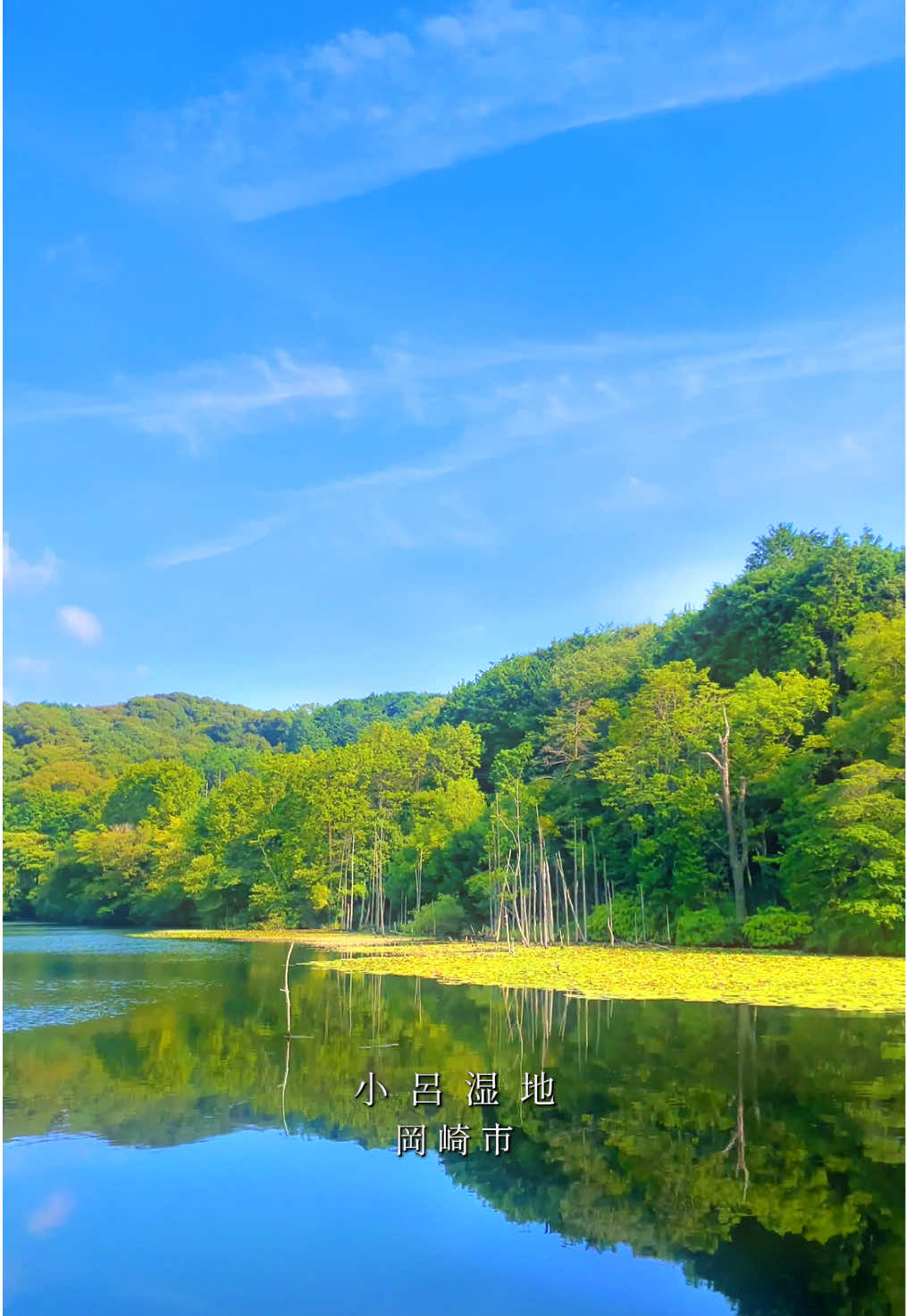 @Aichi_Traveler🎌