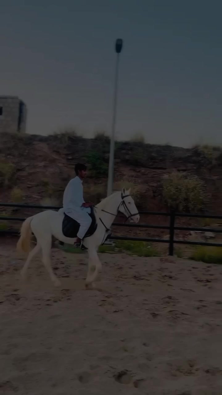 @ولید 💸👻