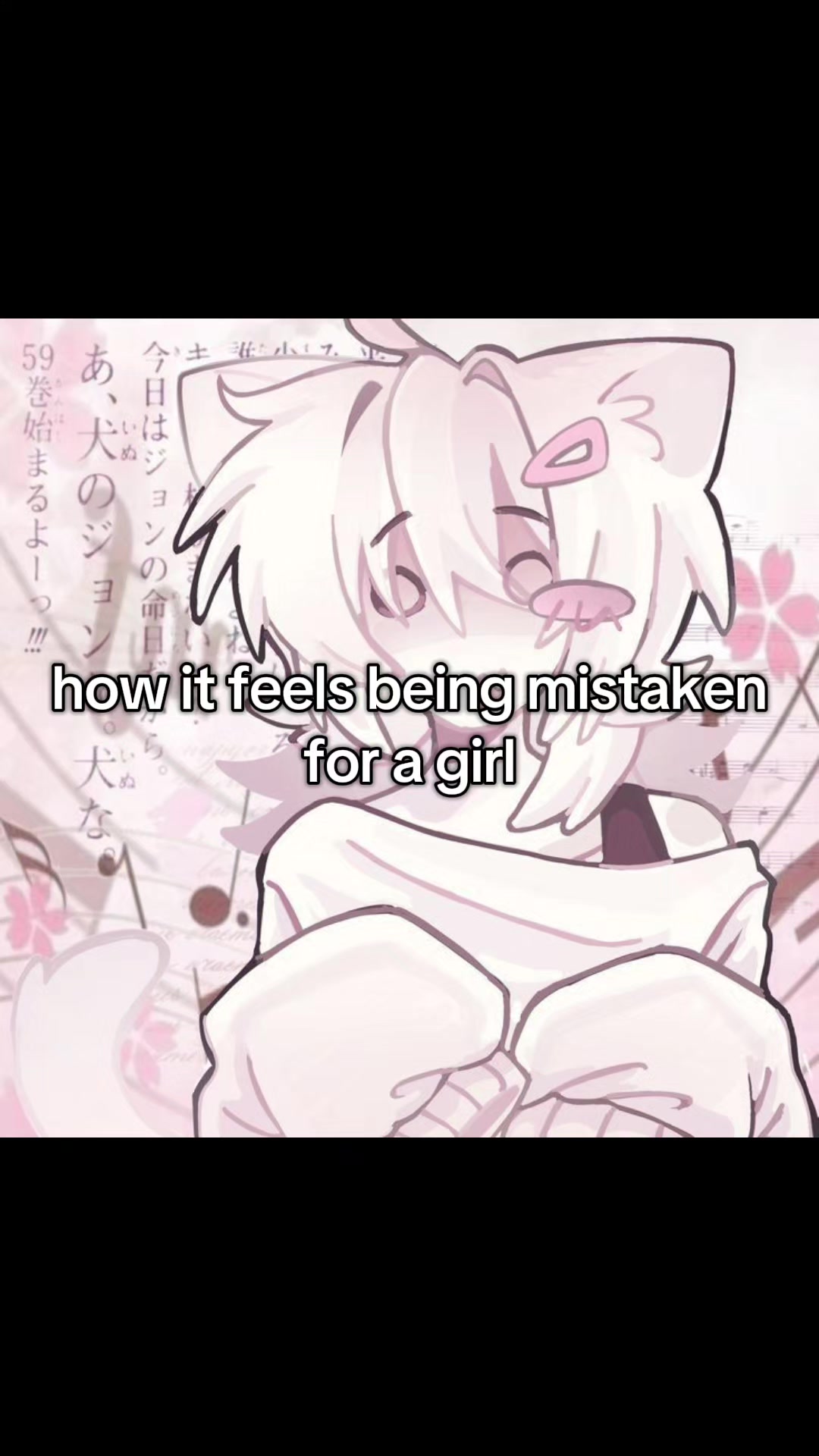 @munchkincatboy