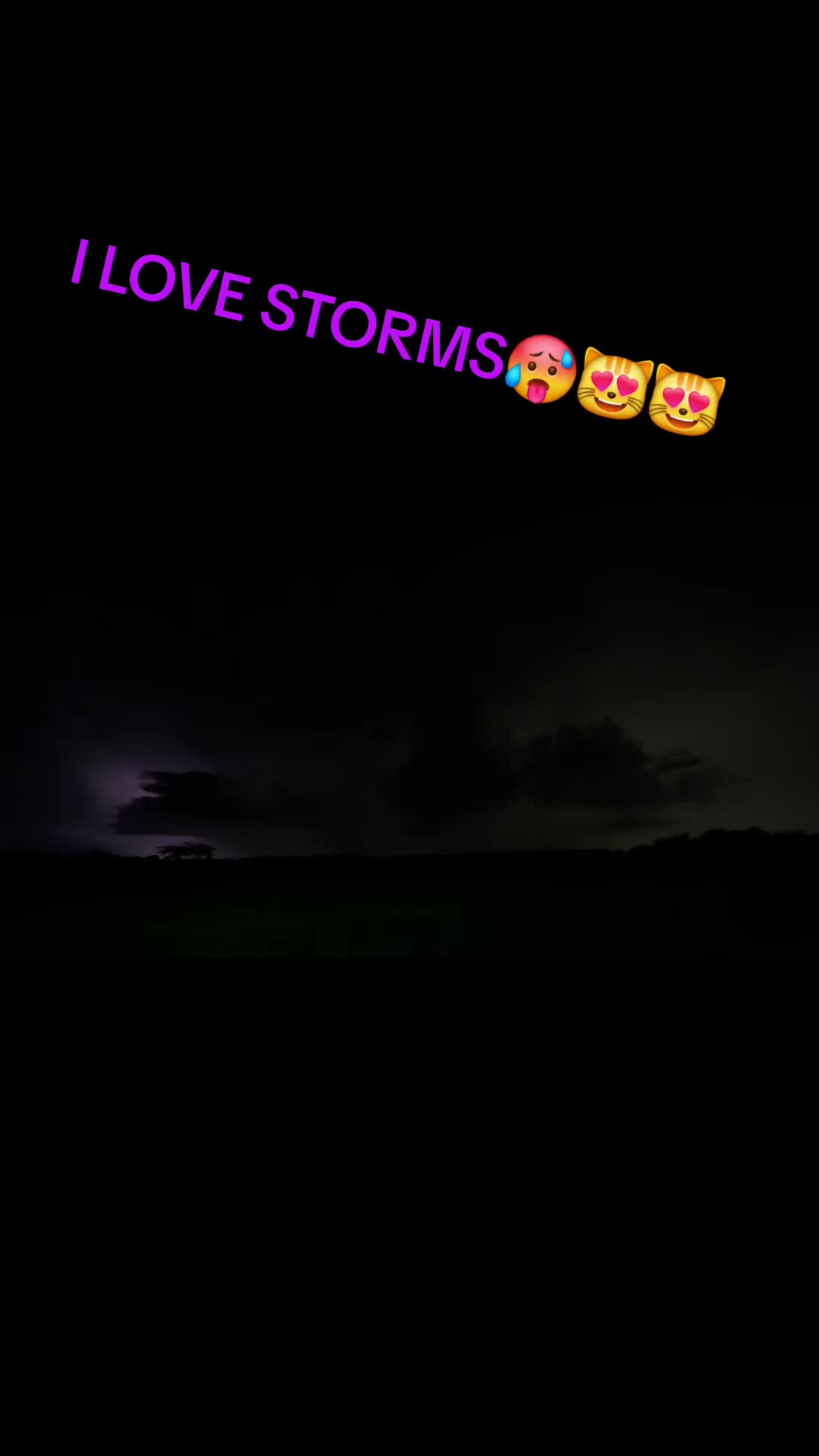 @ToxicStormKitty