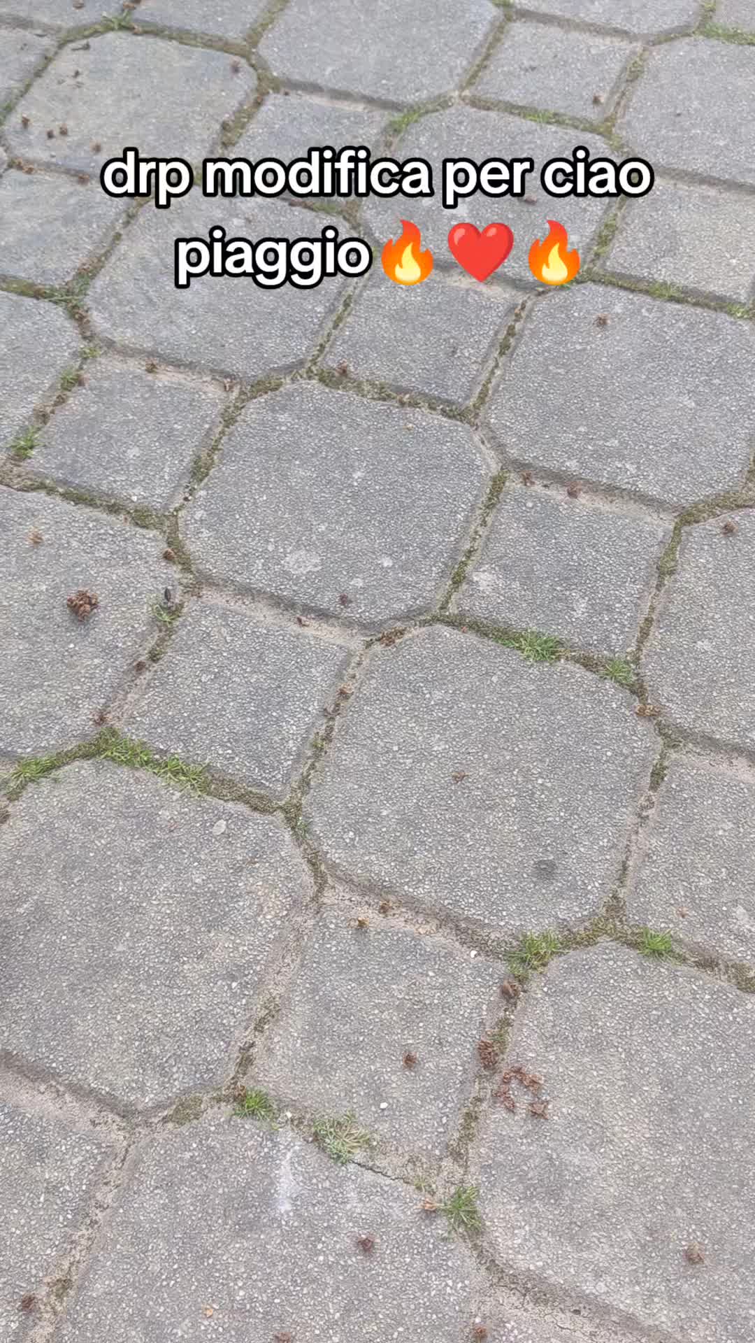 @zaninnicola.09