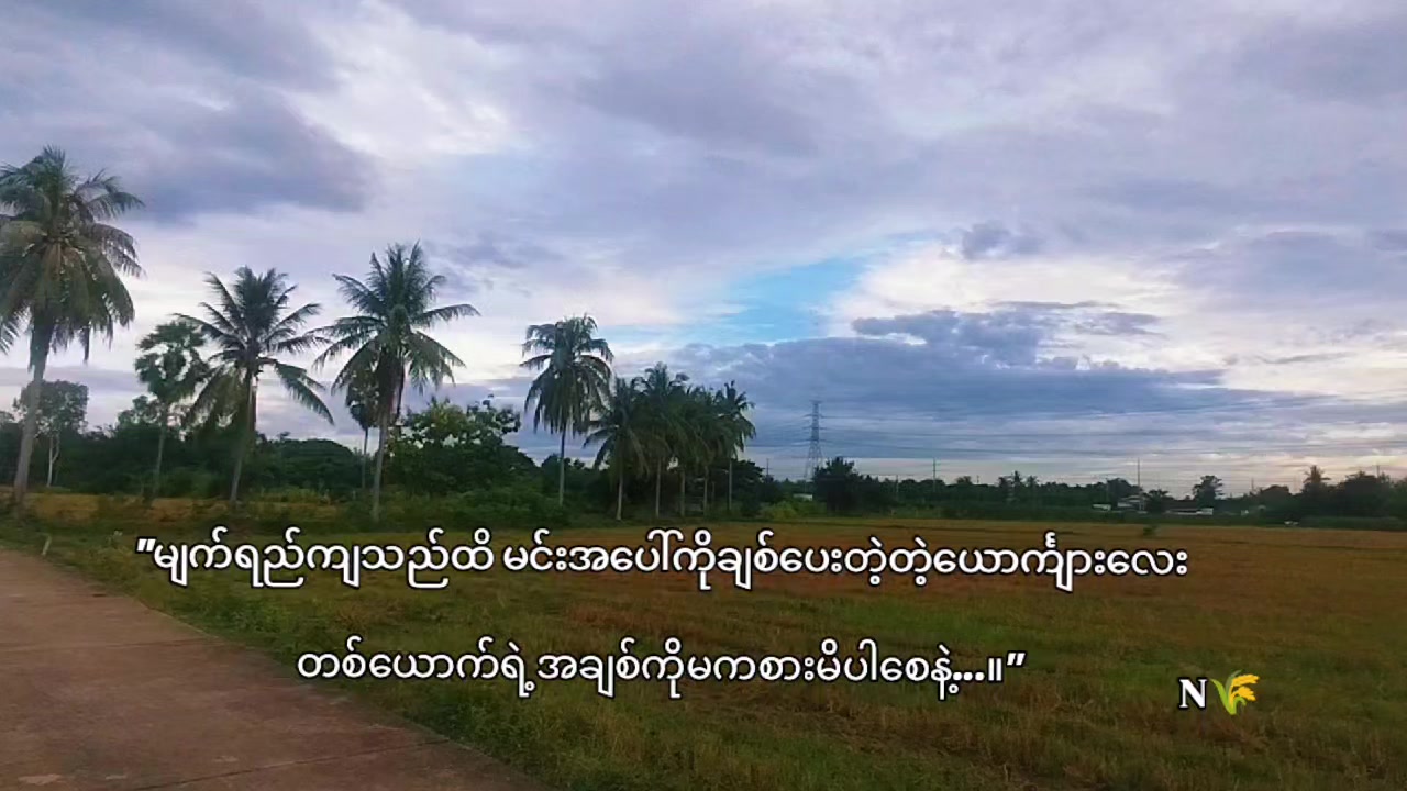 @ᴀɴʏᴀʀᴛᴀʀ🌾N